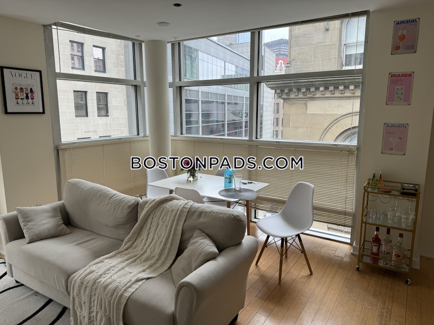 BOSTON - DOWNTOWN - 1 Bed, 1 Bath - Image 9