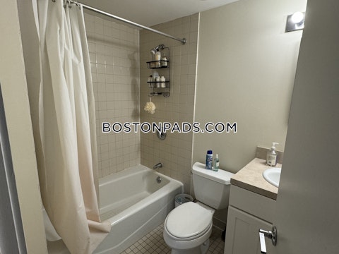 Boylston St. Boston photo 10