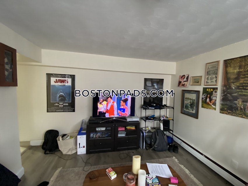 BOSTON - ALLSTON - 2 Beds, 1 Bath - Image 8