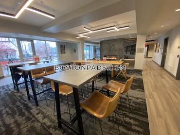 Boston - 2 Beds, 1 Baths