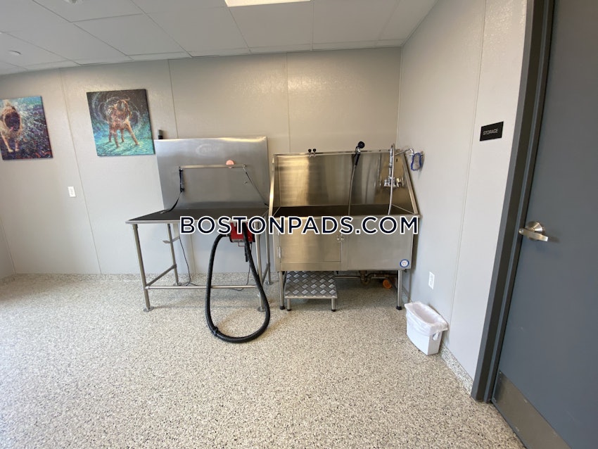 BOSTON - ALLSTON - 2 Beds, 1 Bath - Image 12