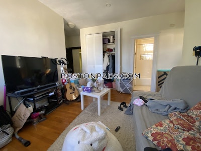 Allston/brighton Border Apartment for rent 1 Bedroom 1 Bath Boston - $2,250 No Fee