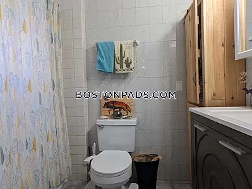 BOSTON - BRIGHTON- WASHINGTON ST./ ALLSTON ST. - 3 Beds, 2 Baths - Image 21