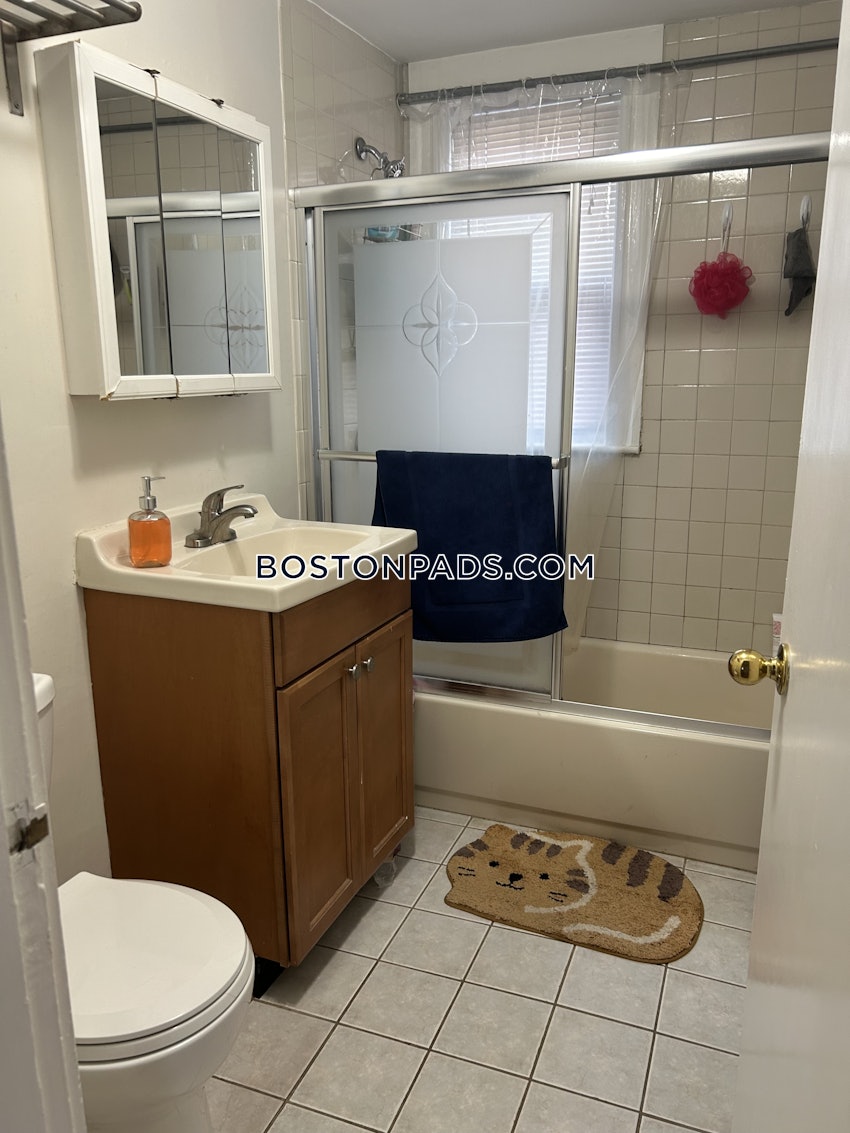 SOMERVILLE - DAVIS SQUARE - 3 Beds, 1 Bath - Image 17