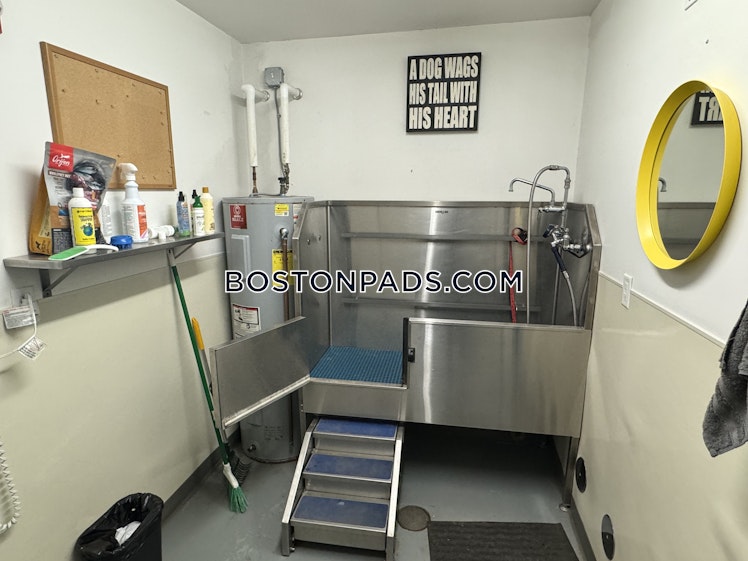 Whittemore Ave., Cambridge