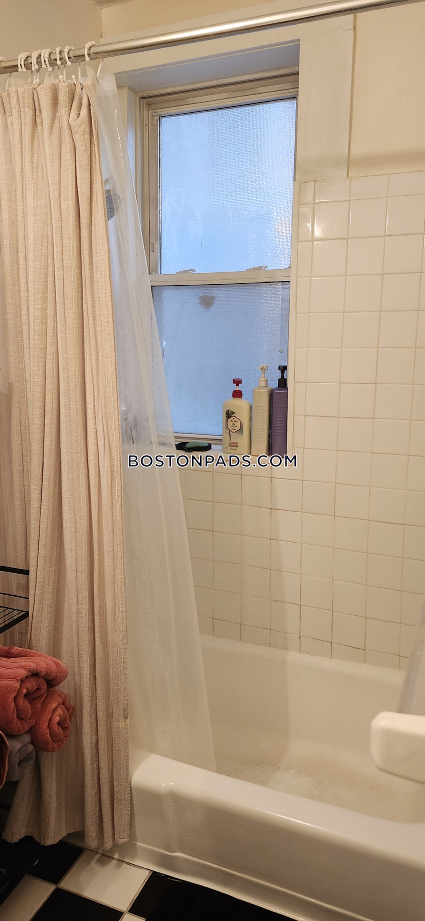 BOSTON - BRIGHTON - CLEVELAND CIRCLE - 1 Bed, 1 Bath - Image 21