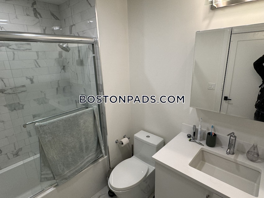 BOSTON - JAMAICA PLAIN - STONY BROOK - 1 Bed, 1 Bath - Image 13