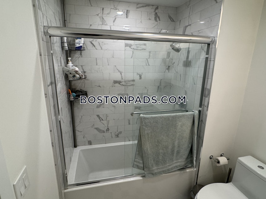 BOSTON - JAMAICA PLAIN - STONY BROOK - 1 Bed, 1 Bath - Image 12
