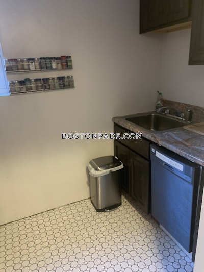 Fenway/kenmore Apartment for rent 1 Bedroom 1 Bath Boston - $3,000 No Fee