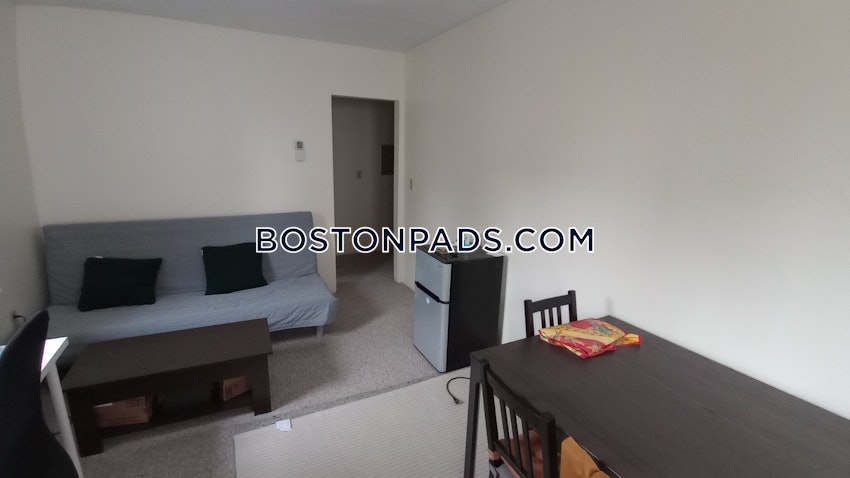 BOSTON - FENWAY/KENMORE - 1 Bed, 1 Bath - Image 3