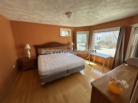 Holman St. Boston photo 27