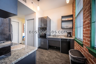Waltham Studio 1 baths Luxury in WALTHAM - $3,099 No Fee