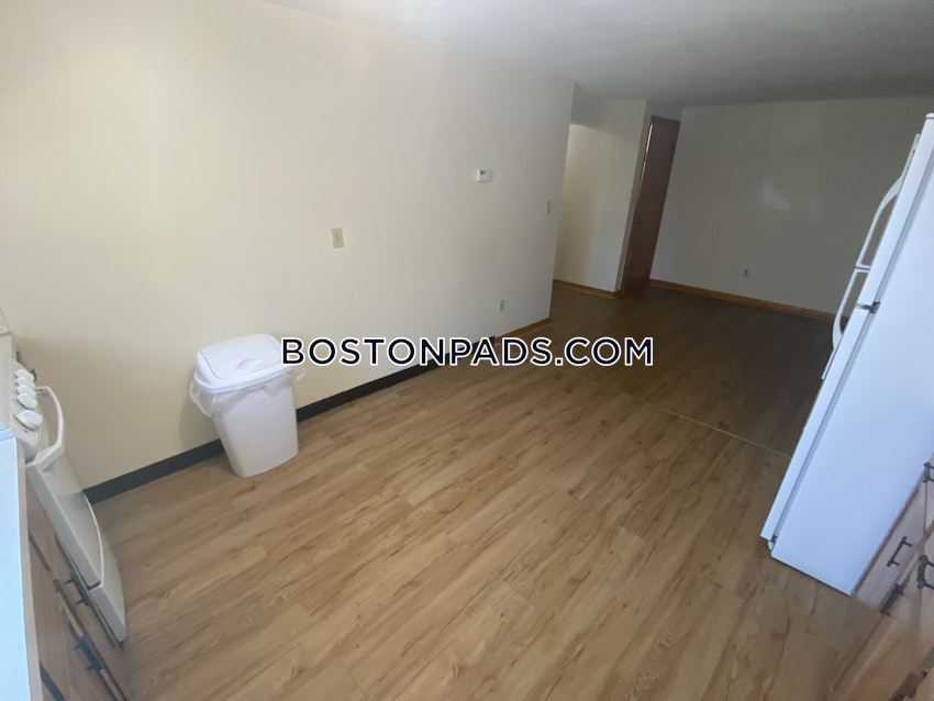 BOSTON - LOWER ALLSTON - 1 Bed, 1 Bath - Image 11