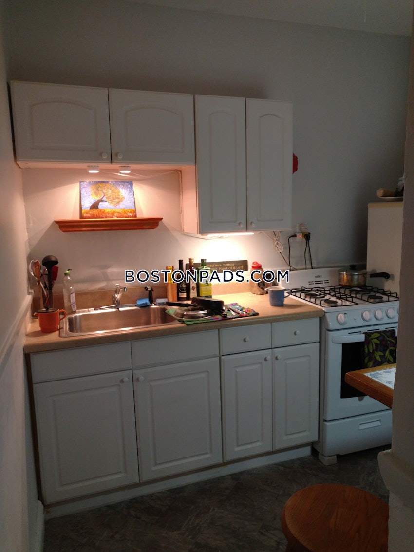 BOSTON - ALLSTON/BRIGHTON BORDER - Studio , 1 Bath - Image 7