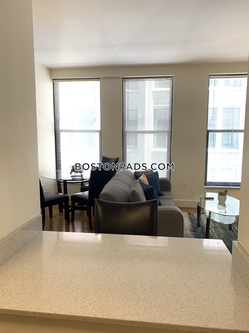 BOSTON - DOWNTOWN - 1 Bed, 1 Bath - Image 19