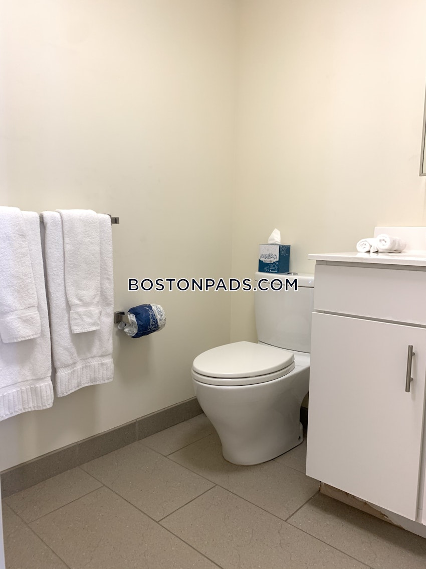 BOSTON - DOWNTOWN - 1 Bed, 1 Bath - Image 15