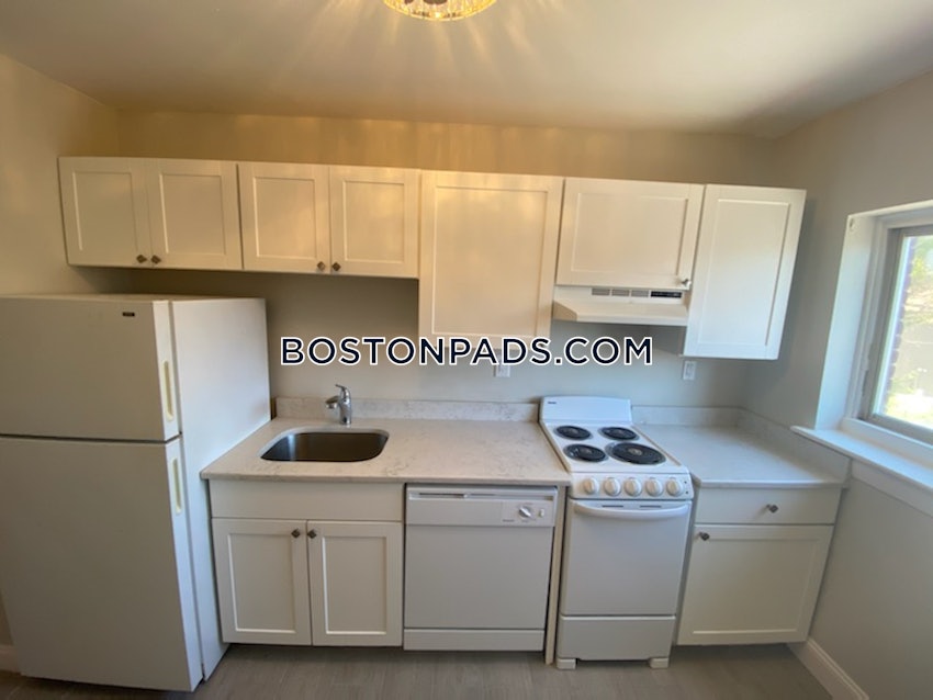 BOSTON - BRIGHTON - CLEVELAND CIRCLE - 1 Bed, 1 Bath - Image 1