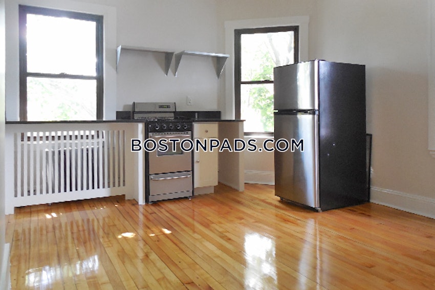 CAMBRIDGE - CENTRAL SQUARE/CAMBRIDGEPORT - 1 Bed, 1 Bath - Image 4