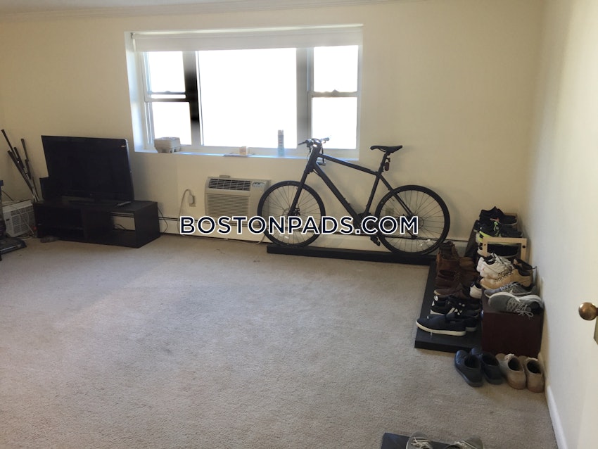 BOSTON - LOWER ALLSTON - 2 Beds, 1 Bath - Image 13