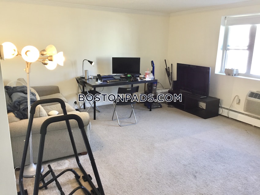 BOSTON - LOWER ALLSTON - 2 Beds, 1 Bath - Image 11