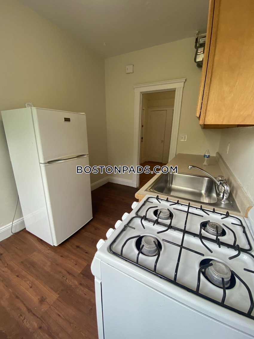 BOSTON - BRIGHTON - CLEVELAND CIRCLE - 1 Bed, 1 Bath - Image 4