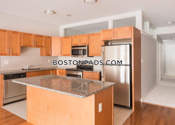 cambridge-apartment-for-rent-2-bedrooms-2-baths-central-squarecambridgeport-4100-8021694 