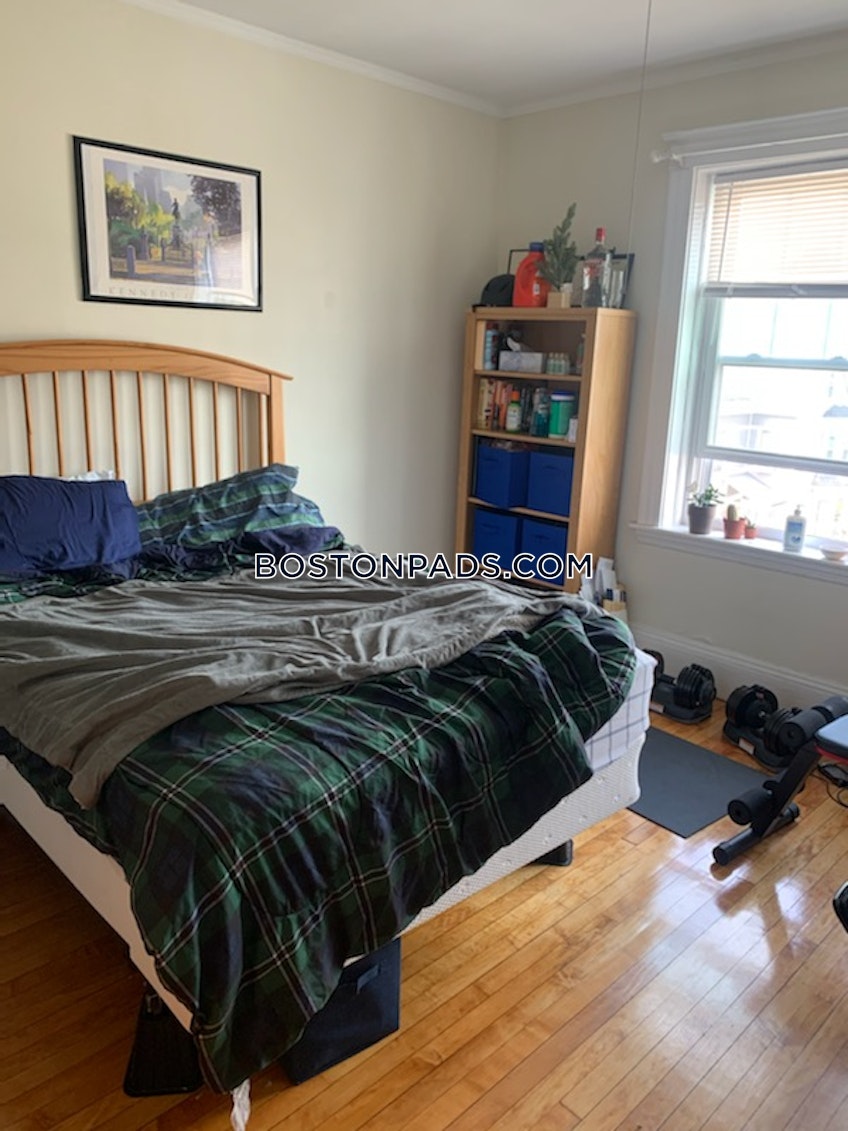 Cambridge - $4,200+ /month