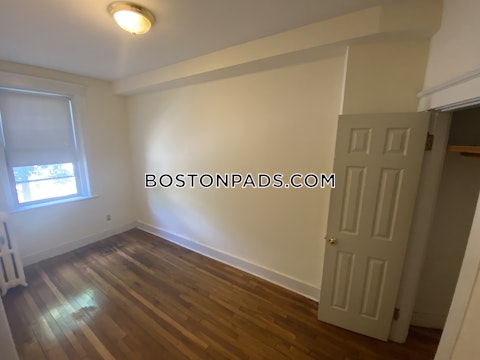 Massachusetts Ave. Cambridge photo 13