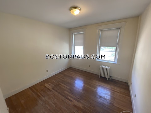 Massachusetts Ave. Cambridge photo 9