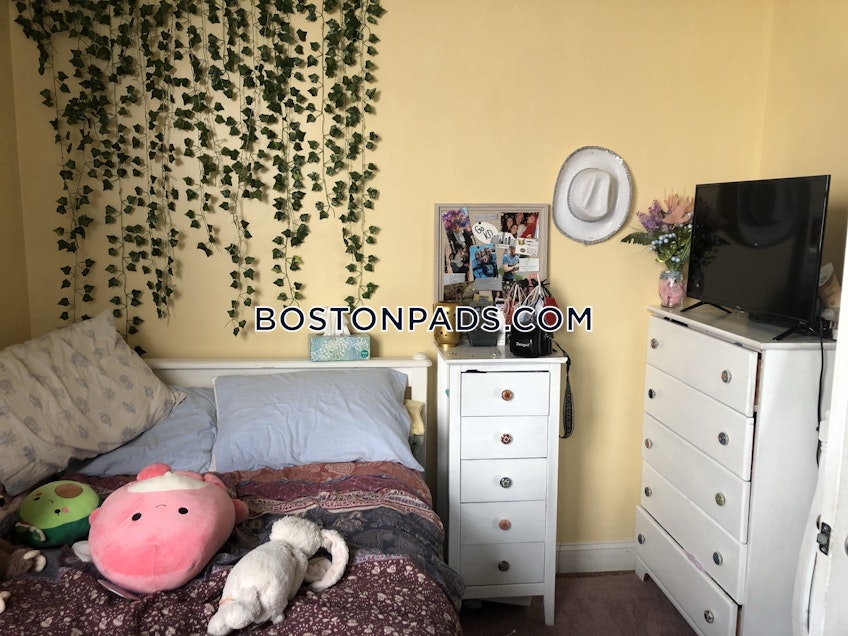 Brookline - $6,500+ /month