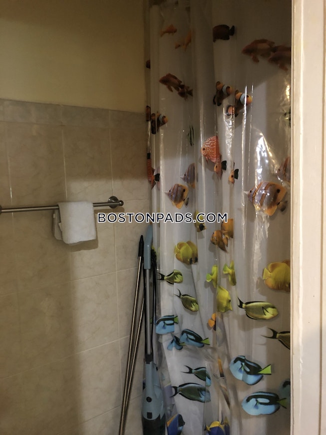 Brookline - $6,500+ /mo