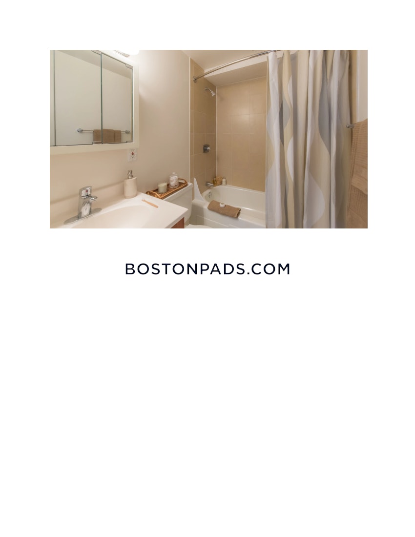 CAMBRIDGE - CENTRAL SQUARE/CAMBRIDGEPORT - 1 Bed, 1 Bath - Image 5