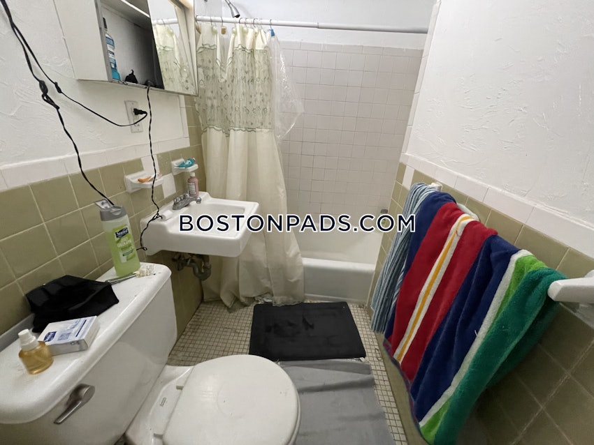 BOSTON - JAMAICA PLAIN - CENTER - Studio , 1 Bath - Image 10