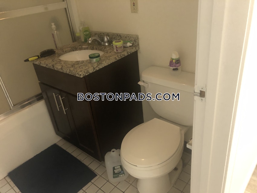 BOSTON - DOWNTOWN - 1 Bed, 1 Bath - Image 18