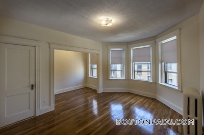 Allston Apartment for rent 1 Bedroom 1 Bath Boston - $2,450