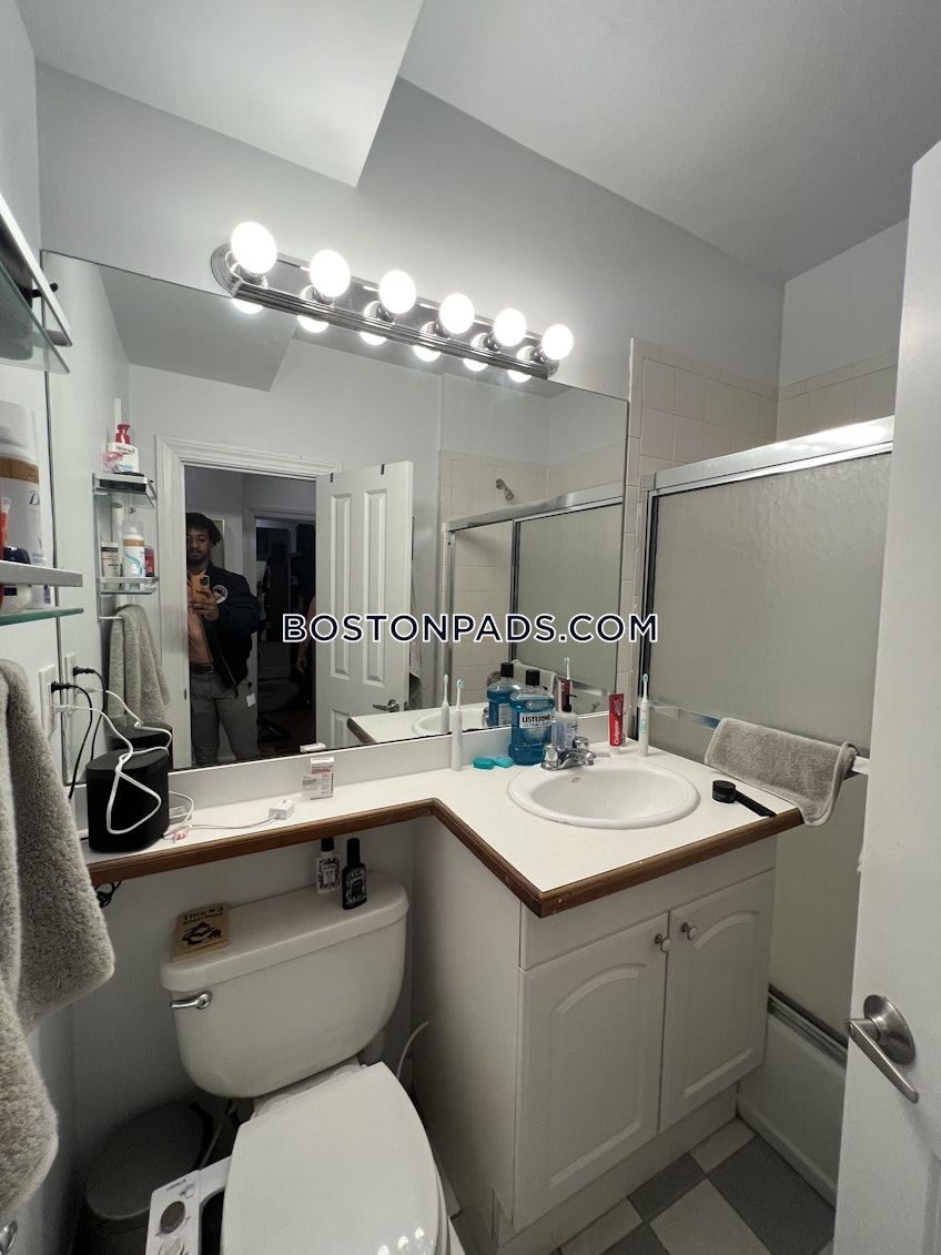 Boston - $3,000+ /month