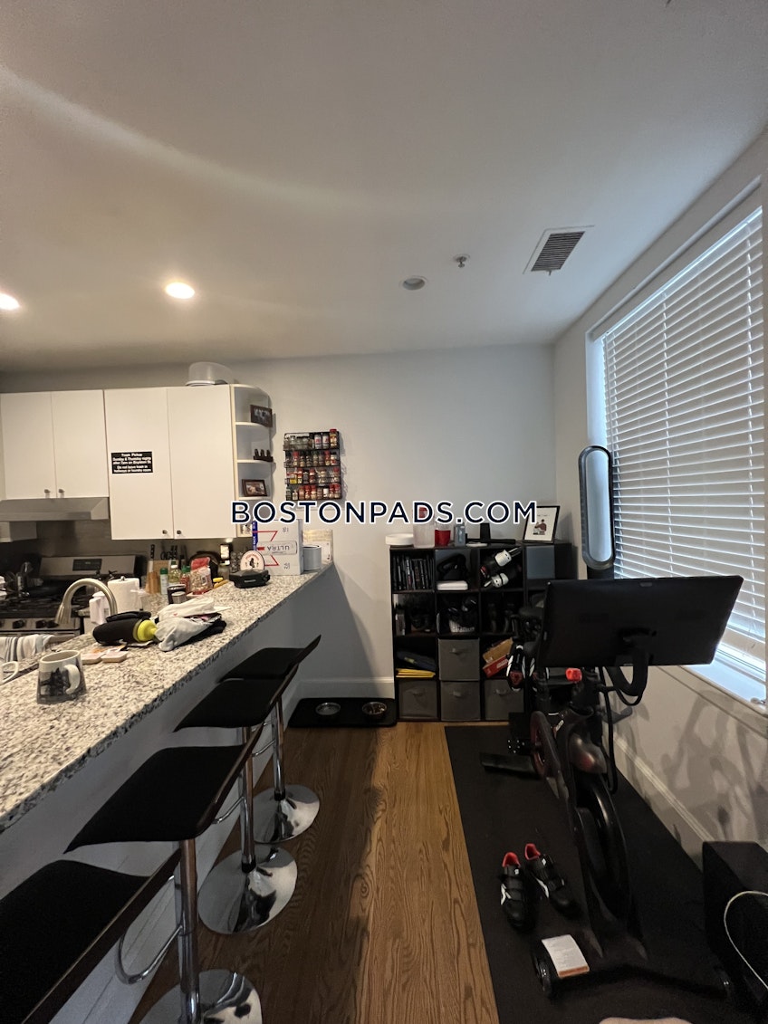 Boston - $3,000+ /month