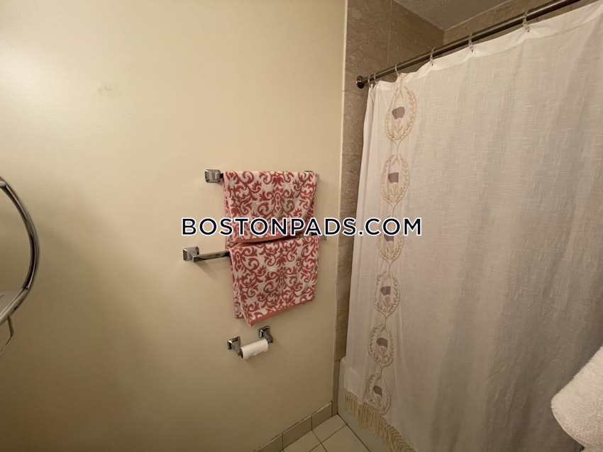 BOSTON - ALLSTON/BRIGHTON BORDER - 2 Beds, 2 Baths - Image 45