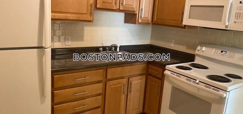 BOSTON - ALLSTON - 1 Bed, 1 Bath - Image 1