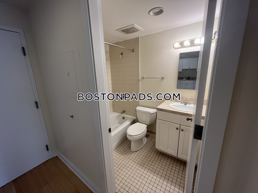 BOSTON - DOWNTOWN - 1 Bed, 1 Bath - Image 14