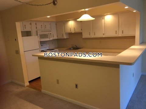 Massachusetts Ave. Arlington photo 10