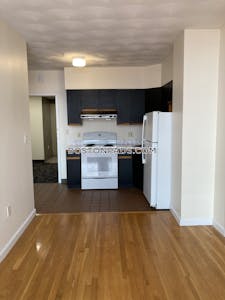 Downtown Apartment for rent 1 Bedroom 1 Bath Boston - $2,550 75% Fee