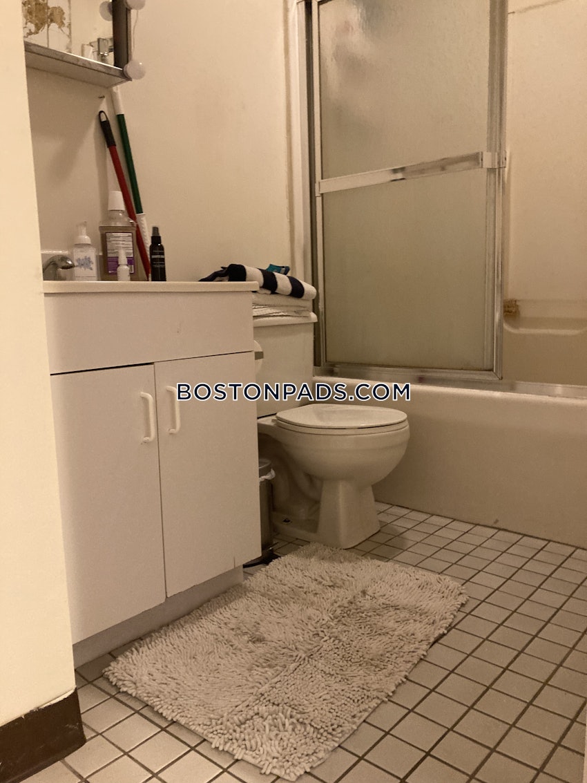 BOSTON - DOWNTOWN - 1 Bed, 1 Bath - Image 41