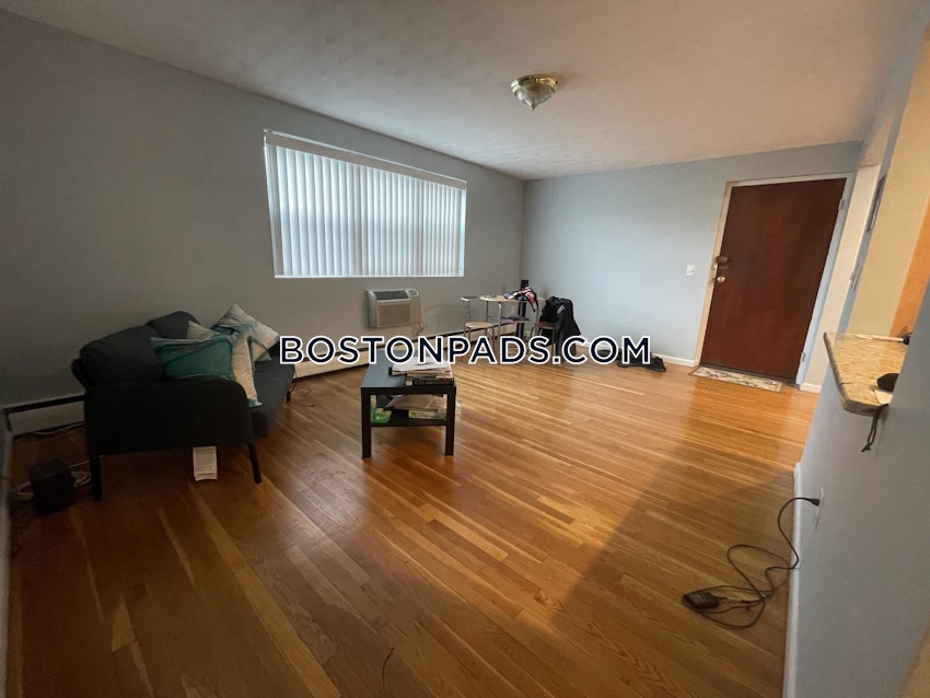 BOSTON - JAMAICA PLAIN - JAMAICA POND/PONDSIDE - 2 Beds, 1 Bath - Image 9