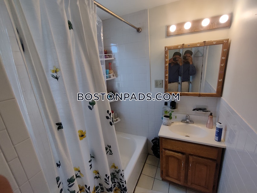 BOSTON - BRIGHTON- WASHINGTON ST./ ALLSTON ST. - 4 Beds, 2 Baths - Image 16