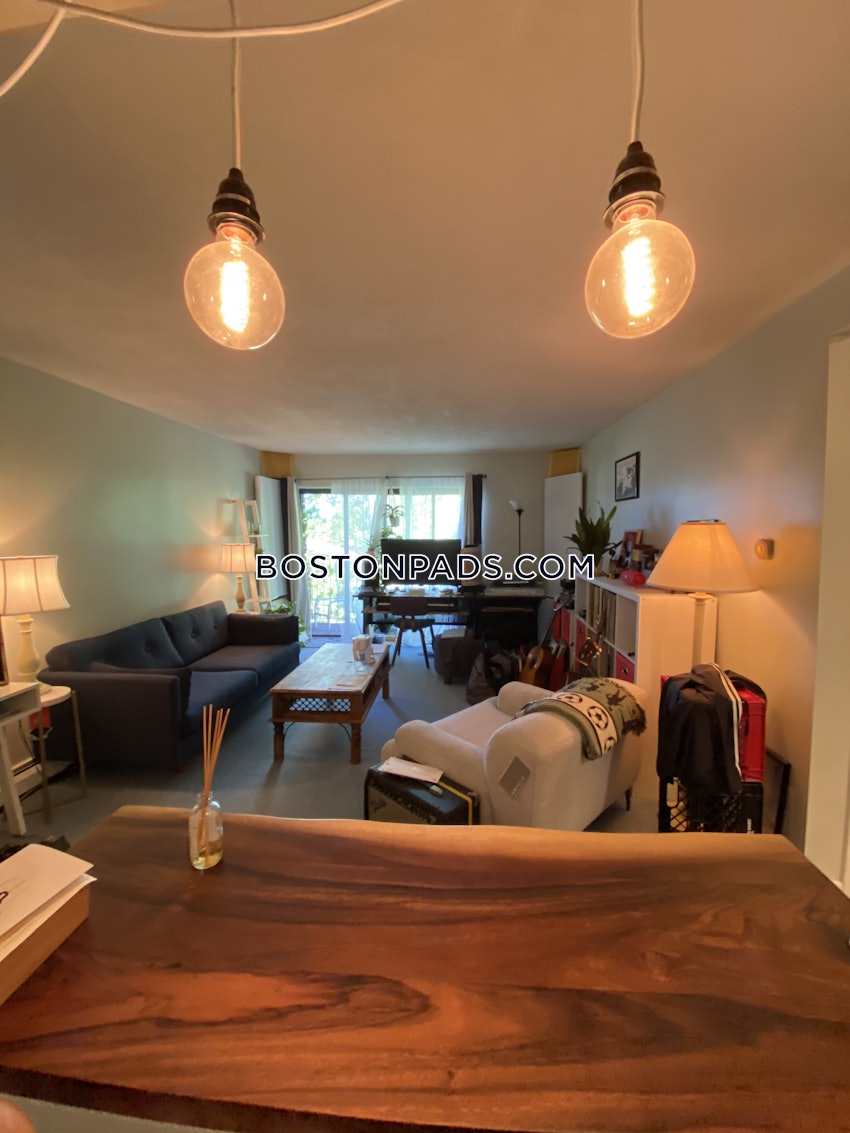 BOSTON - DORCHESTER - SAVIN HILL - 1 Bed, 1 Bath - Image 33