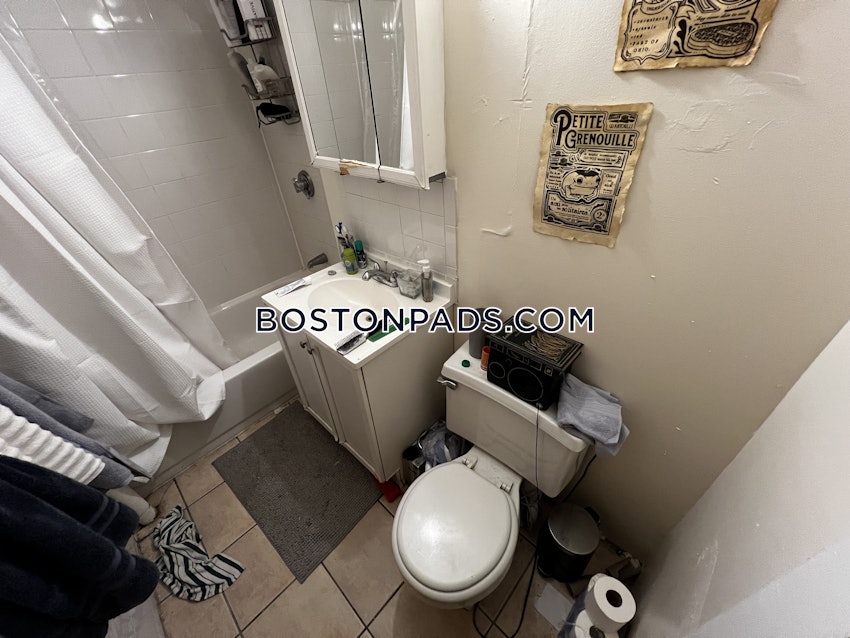 BOSTON - ALLSTON/BRIGHTON BORDER - 2 Beds, 1 Bath - Image 54