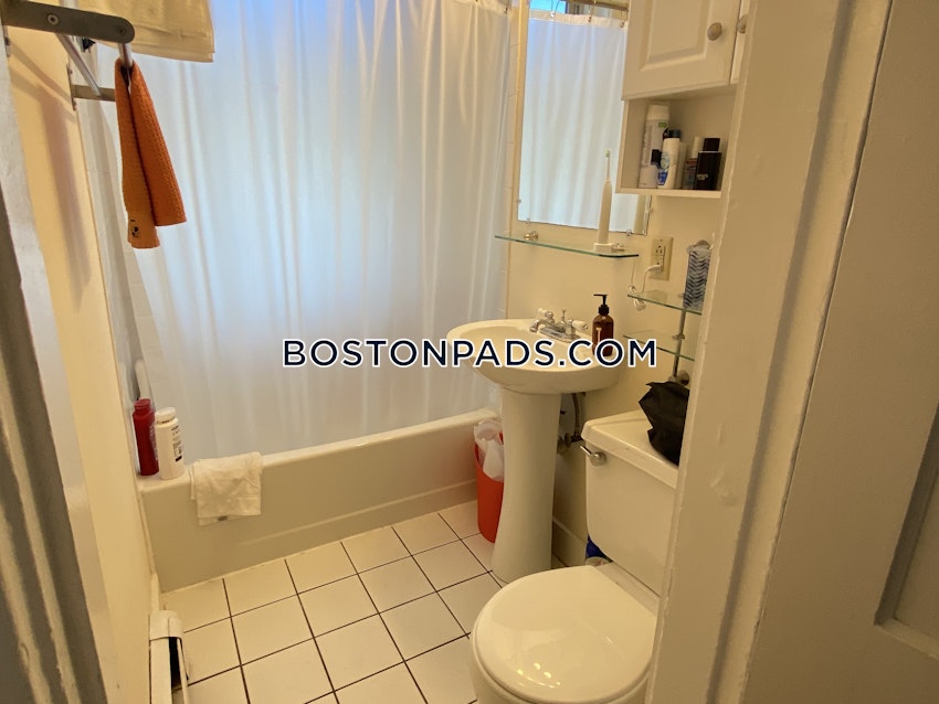 BOSTON - BRIGHTON- WASHINGTON ST./ ALLSTON ST. - 1 Bed, 1 Bath - Image 15