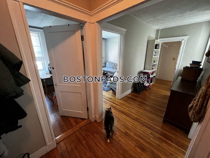 BOSTON - BRIGHTON- WASHINGTON ST./ ALLSTON ST. - 2 Beds, 1 Bath - Image 22