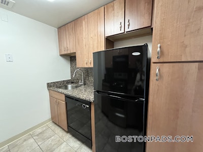 Back Bay Apartment for rent 1 Bedroom 1 Bath Boston - $3,530